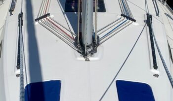 Bavaria 36-13