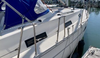 Bavaria 36-6