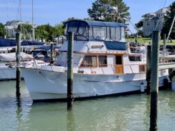 Monk 36
