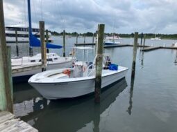 Premium Parasail 28