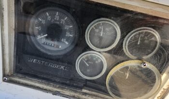 1652393541354337243