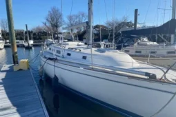 Freedom 38
