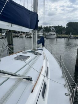 Freedom 38